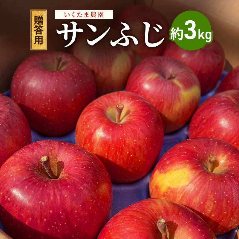 【ふるさと納税】【2026年 11月～ 発送】りんご 先行予約 贈答用 葉とらず サンふじ 約 3kg フルーツ 果物　お届け：2026年11月中旬～12月下旬まで