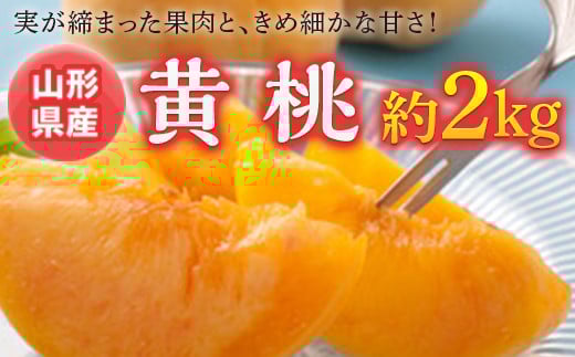 《先行予約 2025年度発送》黄桃 約2kg  もも モモ 桃 デザート フルーツ 果物 くだもの 果実 食品 山形県 FSY-0523