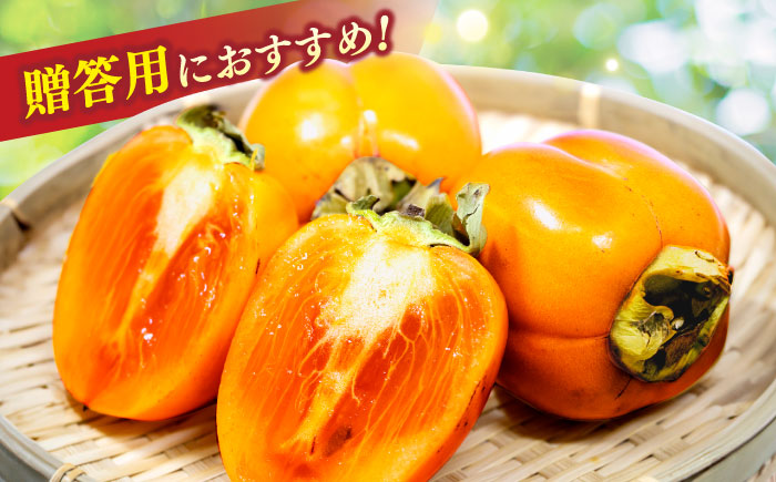 【先行予約】【2026年10月下旬以降順次発送】【数量限定50個】食べごろにお届け♪西条柿(合せ柿) 進物箱2kg(約10個入)ドライアイス詰め 島根県松江市/道の駅本庄企業組合 [ALCW003] 