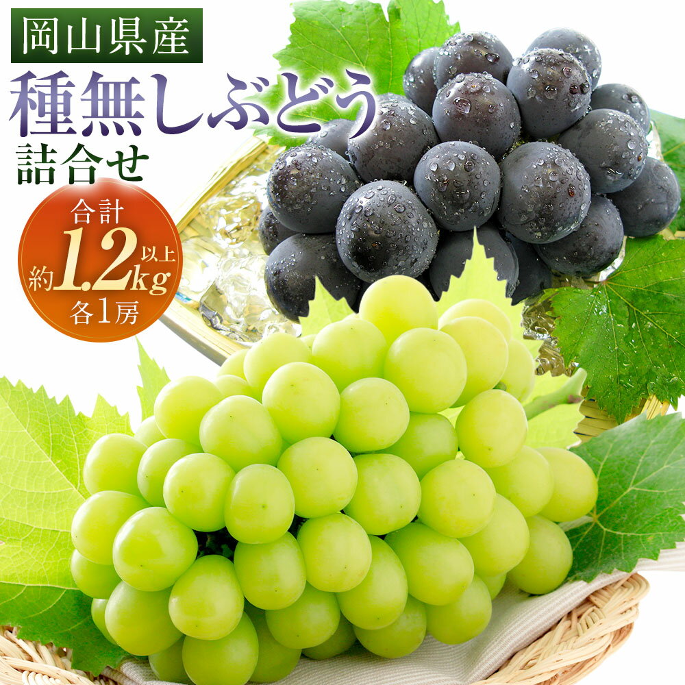 【ふるさと納税】種無し ぶどう 詰め合わせ 2房（合計1.2kg以上） 各1房 シャインマスカット・ニューピオーネ セット ブドウ 葡萄 くだもの 果物 果実 フルーツ 大粒 種なし 冷蔵 岡山県産 国産 岡山県 奈義町 送料無料 【2026年9月上旬～10月上旬 発送予定】