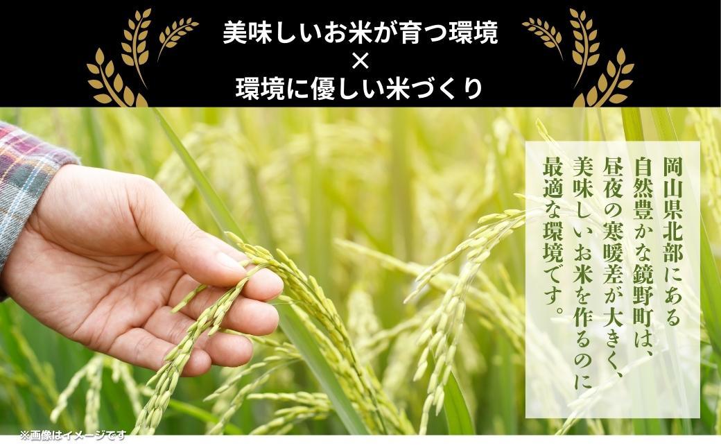 令和7年産 鏡野町産 きぬむすめ 精米【10kg】035-a013
