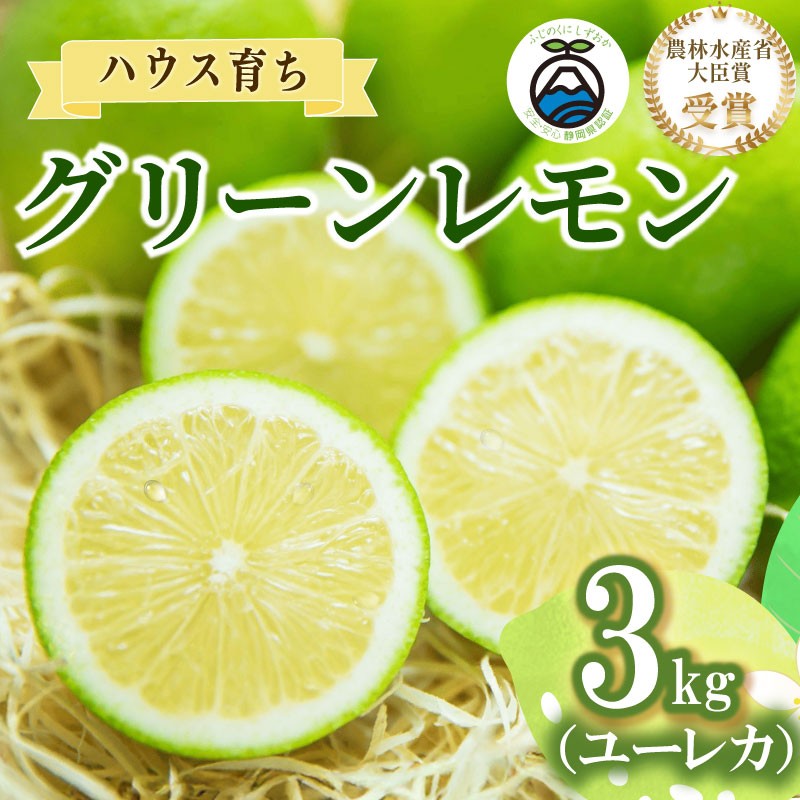 
                  【農林水産大臣賞  先行予約 国産 レモン】選べる 内容量 グリーンレモン 3kg れもん 檸檬 Lemon 柑橘類 柑橘 フルーツ 果物 酸っぱい 果肉 酸味 甘み 防腐剤不使用  受賞農園 皮食べられる 自宅用 贈答品 レモンスカッシュ レモンパウンドケーキ レモンサワー くだもの 家庭用 静岡県産 農家直送 産地直送 産直   グリーン レモン 大関農園  静岡 県 牧之原 市
                