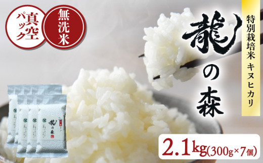 龍の森 真空パック キヌヒカリ （無洗米）300g×7個 お米 米 無洗米 2.1kg 真空包装 旨味 甘み 特別栽培米 AM酵素農法 長期保存 パック 小分け 2合 便利 ごはん 白米 備蓄 京都 南丹市 1万5千円 15000