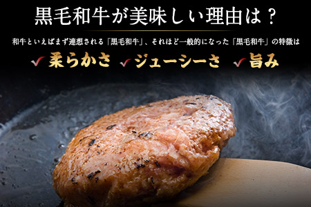 黒毛和牛ハンバーグ 750g  黒毛和牛 有限会社トップルーフ