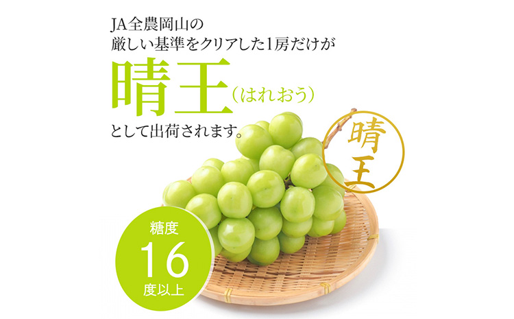 ぶどう シャインマスカット晴王 約600g 1房程度 橋田商店有限会社《9月中旬-11月中旬頃出荷》 岡山県 浅口市 岡山県産 ぶどう フルーツ 果物 くだもの マスカット 送料無料【配送不可地域あり