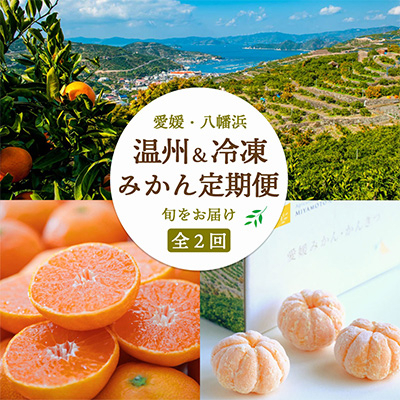 
            ＜発送月固定定期便＞愛媛みかん&冷凍みかん ミヤモトオレンジガーデン全2回＜E25-161＞_ 定期便 みかん ミカン 柑橘 フルーツ 果物 くだもの 青果 冷凍みかん 愛媛 産直 産地直送 国産 甘い 【4013522】
          