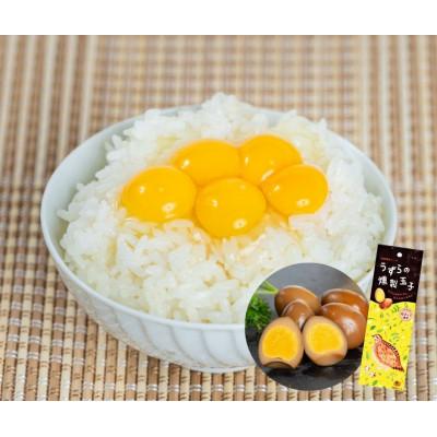 ふるさと納税 湖西市 【発送月固定定期便】〈毎月発送〉うずらの卵満足セット全12回