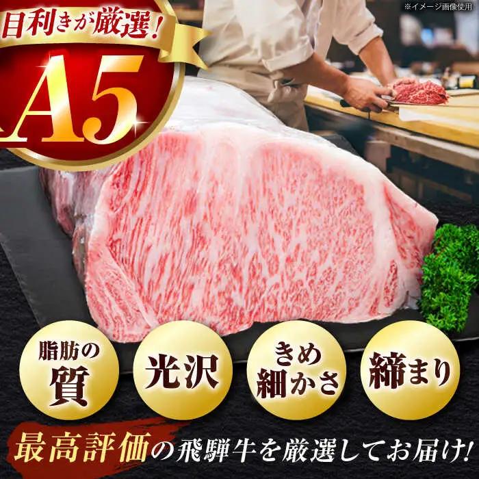 【6回定期】特選飛騨牛5等級ステーキ サーロイン800g[AVAG009] 飛騨牛 サーロイン