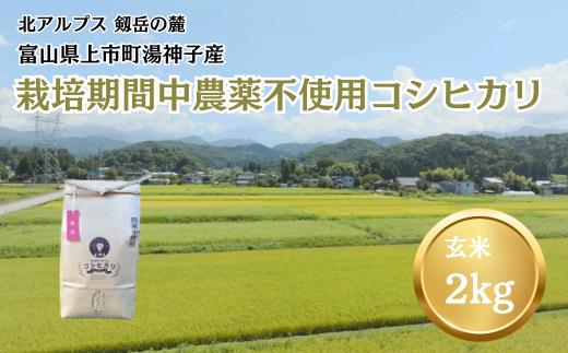 
            【令和7年産】栽培期間中農薬不使用 上市町湯神子産コシヒカリ（玄米）2kg　 [ソムリエH 富山県 上市町 32280237-r6-01] 　お米 コメ ご飯 ごはん 玄米ご飯 玄米ごはん こしひかり
          