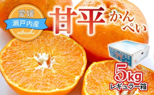 ＜先行受付＞甘平 レギュラー箱 5kg |みかん ミカン 柑橘 かんきつ オレンジ 甘平みかん かんぺい 甘平 愛媛みかん 愛媛 みかん 果物 国産フルーツ 甘い 果物 JA 越智今治 おちいまばり 愛媛ミカン 愛媛県 上島町
