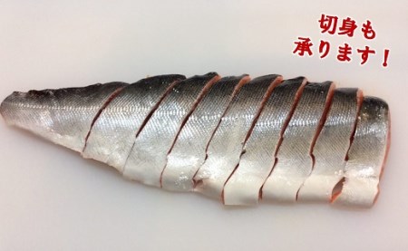 ＜期間限定＞ 岩手北三陸産 本マス まるごと1尾 約2kg （サクラマス） （真マス） 切身・三枚おろしのご希望も承ります。