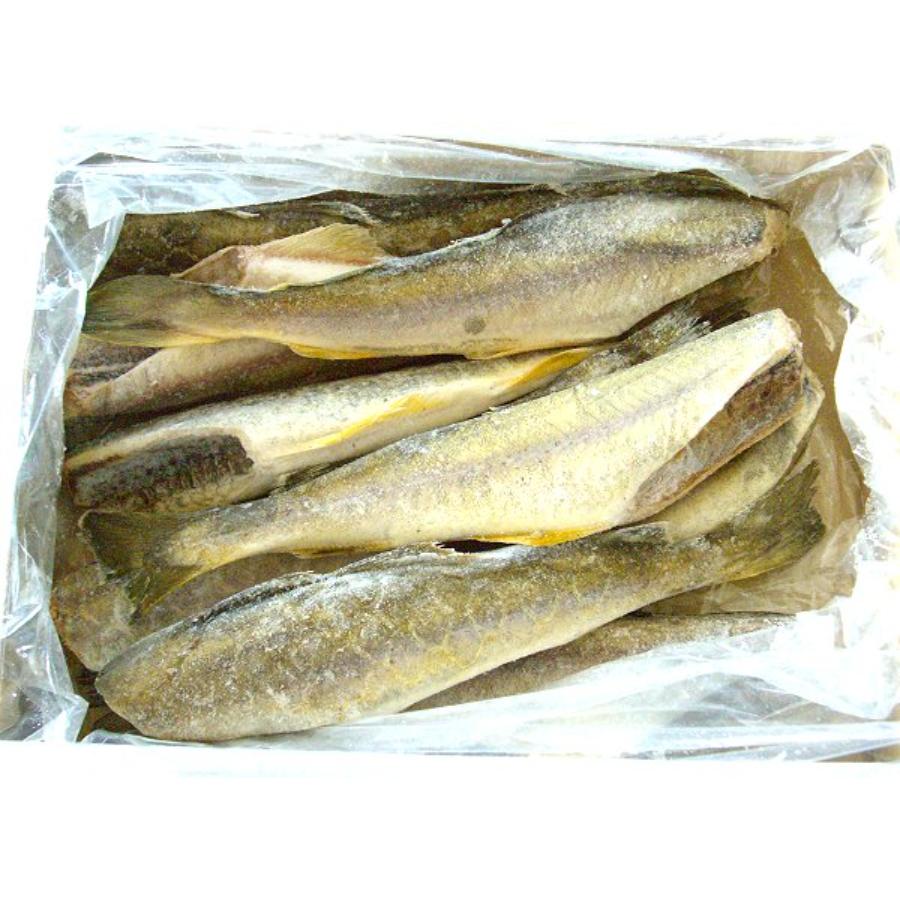 ＜網走水産＞北海道産 生干しこまい1kg×1箱