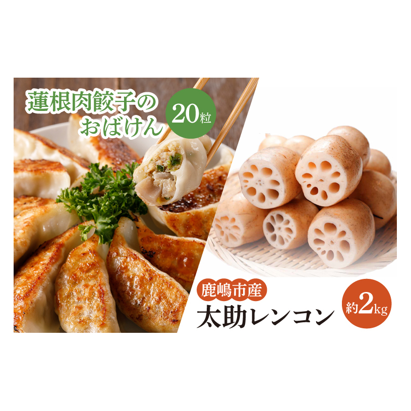 【セット販売】太助レンコン&蓮根肉餃子のおばけん 【2kg&20粒】【野菜 ギョーザ れんこん しゃきしゃき おいしい 食べきり 茨城県 鹿嶋市】（KBU-4）