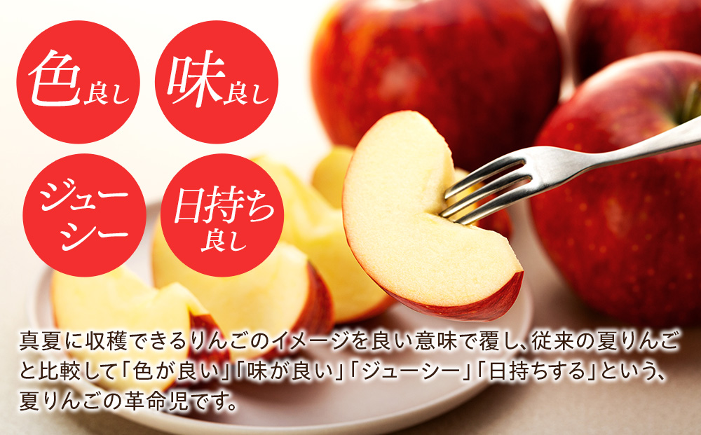 シナノリップ　約3kg（9玉）