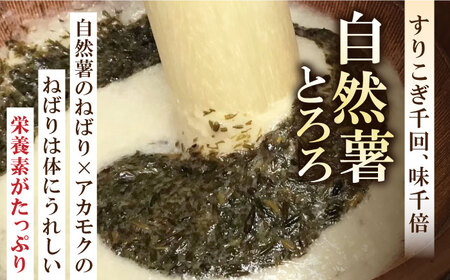 【全6回定期便】【磯の風味が香るふわふわとろろ】那珂川産自然薯使用　博多自然薯アカモクとろろ 60g×6個＜自然薯王国＞那珂川市 野菜 自然薯 とろろ 白米 そば お好み焼き 健康 90000 900