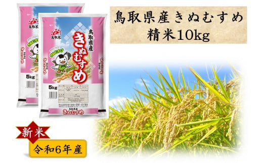 276J.鳥取県産きぬむすめ◇精米10kg◇令和6年産