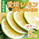 【ふるさと納税】 訳あり 愛媛 レモン （ グリーンレモン ） 5kg 7000円 柑橘 サイズ 不揃い 家庭用 檸檬 国産 果物 瀬戸内 ワックス 防腐剤 不使用 果汁 人気 新鮮 レモネード 塩レモン はちみつレモン レモンサワー レモン酎ハイ規格外 愛南町 愛媛県 果樹園みどり