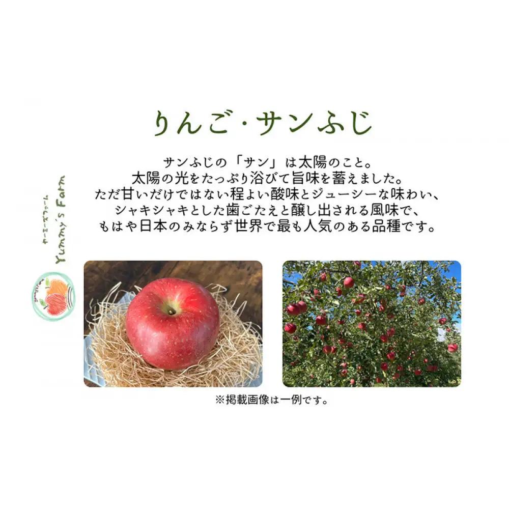 ヤーミーズファーム　生産農家直送 人にやさしい 長沼りんご・サンふじ5kg（ご家庭用） | りんご フルーツ
