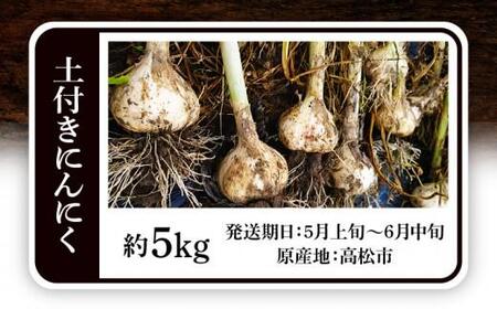 土付きにんにく 約5kg【2026-5月上旬～2026-6月中旬配送】