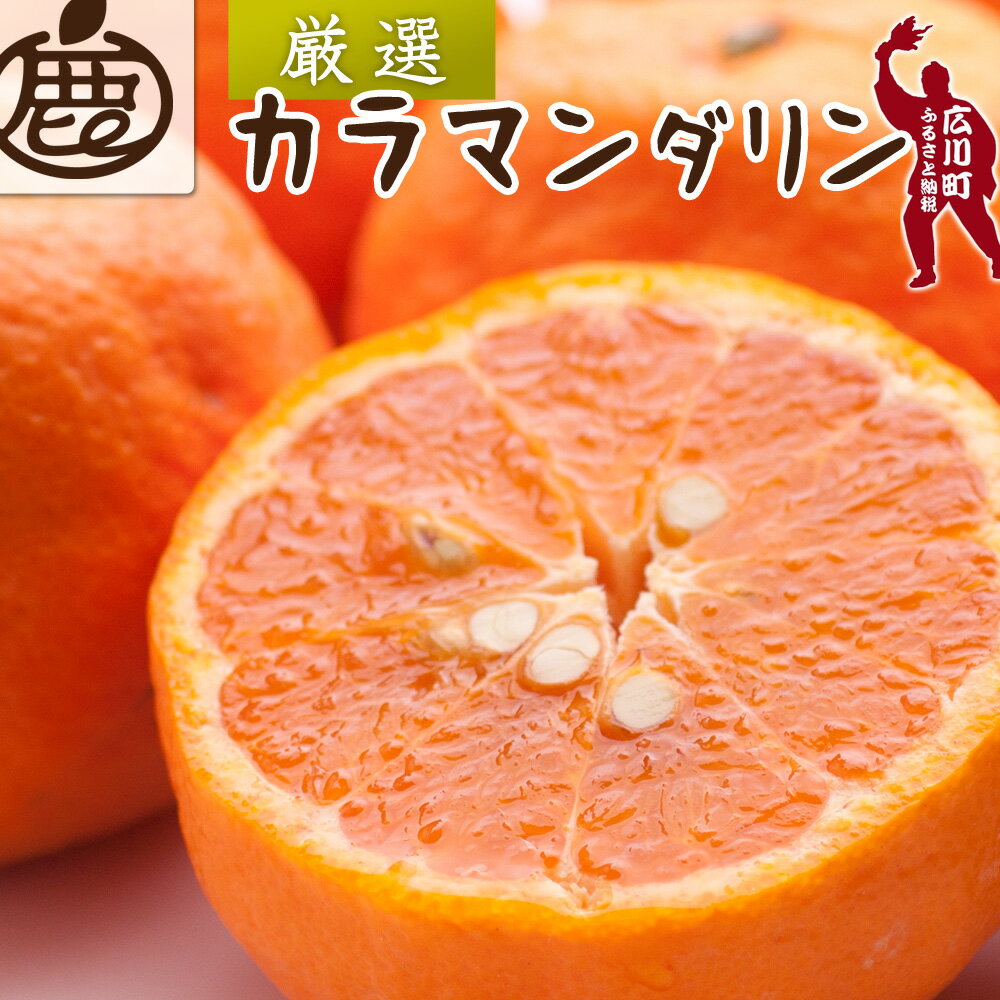 【ふるさと納税】 【ふるさと納税】 カラマンダリン 厳選 / カラ カラオレンジ カラみかん 南津海 なつみ 高級 和歌山 有田 柑橘 晩柑 6000円 9000円 1kg 5kg ※4月上旬〜5月順次発送 ※北海道・沖縄・離島への配送不可 // hassaku