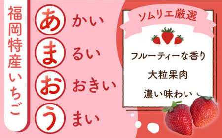 【全2回定期便】福岡産 いちご【春】あまおう 4パック＜南国フルーツ株式会社＞那珂川市 いちご 苺 イチゴ あまおう 定期便 福岡産   [GCD043]25000 25000円