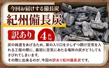 紀州備長炭 訳あり 約4kg 望商店 《30日以内に順次出荷(土日祝除く)》 和歌山県 日高川町 備長炭 紀州備長炭 炭 約4kg 高級白炭 BBQ 焼肉 炭火焼き キャンプ レジャー 囲炉裏 国産 