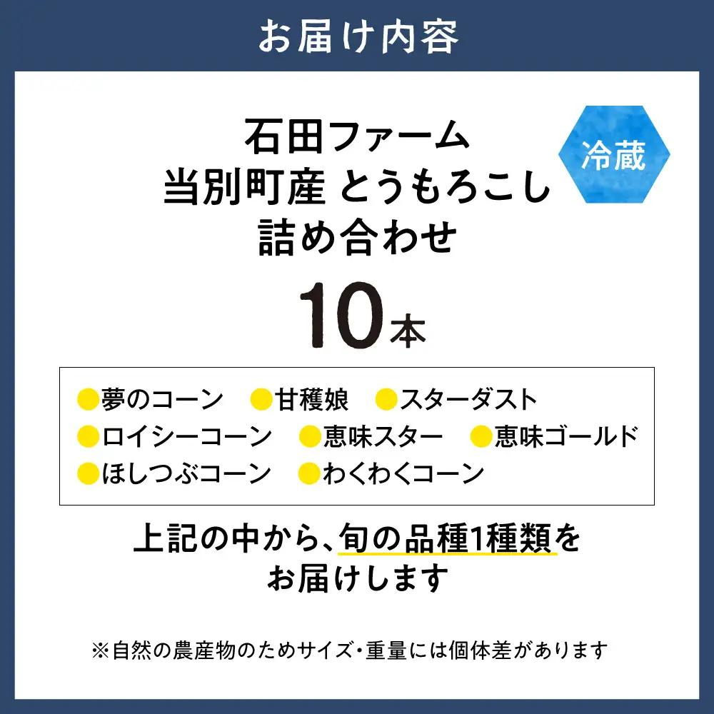 とうもろこし 10本セット 北海道産 トウモロコシ
