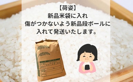 令和7年産新米　淡路島産キヌヒカリ　玄米5kg