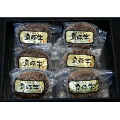 ふるさと納税 西都市 宮崎和牛「齋藤牛」手作りハンバーグセット(120g×6個)[2249] |  | 01