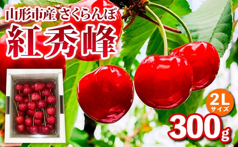 
            山形市産 さくらんぼ【紅秀峰】2Lサイズ 300g バラ詰め【令和8年産先行予約】FS25-033
          