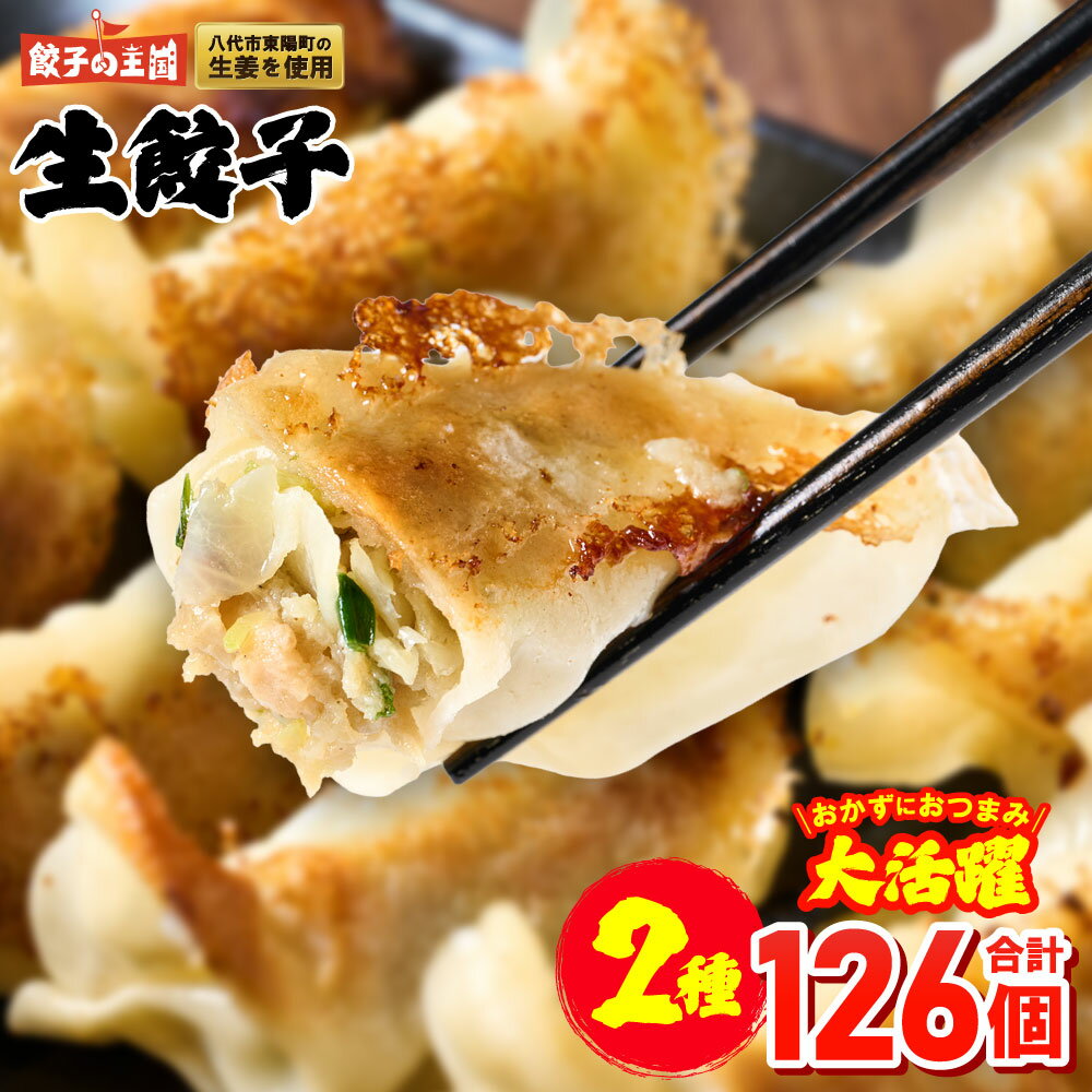 【ふるさと納税】 餃子の王国 人気 生餃子 126個 2種類 黒豚生餃子30個/工場直売生餃子96個 餃子 セット 食べ比べ 詰合せ ギョウザ ぎょうざ 中華 ショウガ おかず 惣菜 国産 八代市東陽町の生姜を使用 熊本県 九州 冷凍 送料無料
