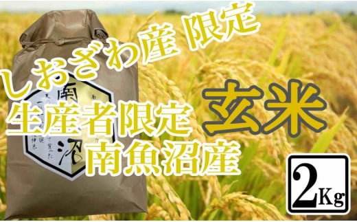 
            【令和7年産】【2kg】玄米 しおざわ産限定 生産者限定 南魚沼産コシヒカリ【2025年10月上旬より順次発送予定】
          
