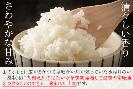 【先行予約】【令和8年産・新米】【12ヶ月定期便】 コシヒカリ10kg×12回 合計120kg（精米）【2026年10月より順次発送予定】 [O-11302_03]