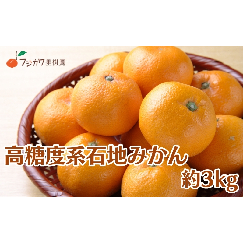 2026年冬よりお届け 高糖度系石地みかん 約3kg 柑橘類 フルーツ 果物 ミカン 