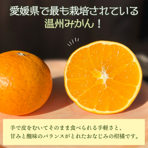＜旬をお届け！温州みかん 約5kg＞ 数量限定 ミカン 蜜柑 果物 柑橘類 果実 オレンジ フルーツ 早生 20号 手軽 特産品 国産 明浜産 二ノ宮商事株式会社 愛媛県 西予市【常温】『2024年1