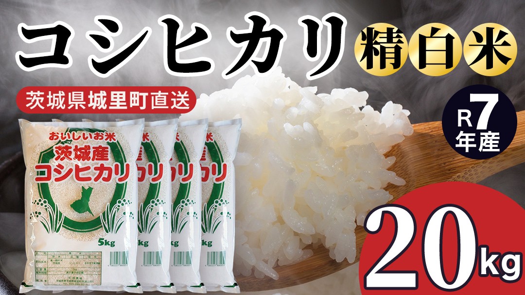 【令和7年産】 コシヒカリ 精米 20kg  産地直送  茨城県 城里町 精白米 米 ご飯 こしひかり 米 白米 精米 (AX060)