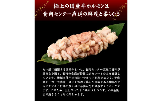 特撰博多もつ鍋 【まろやかあごだし醤油仕立て】 2〜3人前 300g 《30日以内に出荷予定(土日祝除く)》