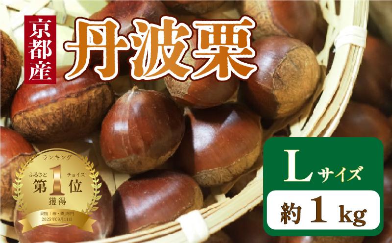
            【 期間限定 】 京都府産 丹波栗 1kg Lサイズ 栗 大粒 秋 旬 味覚 くり 国産 丹波ぐり 丹波くり 生栗 生ぐり 和栗 生くり 京都 京都府 JA JA京都
          