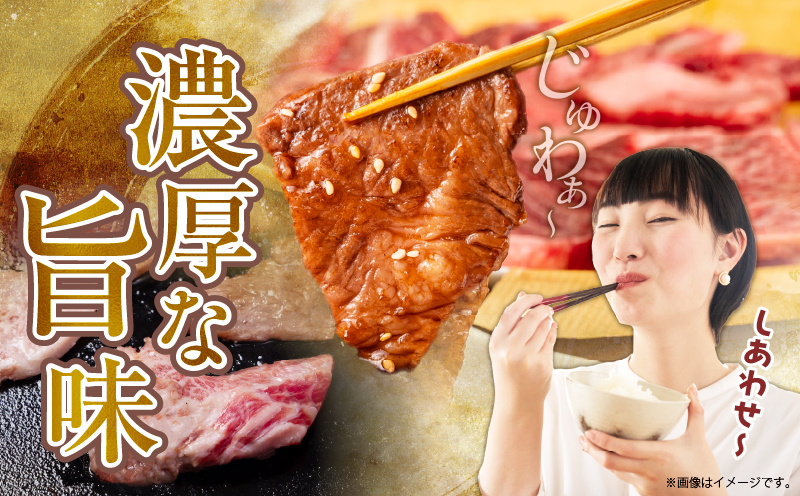 数量限定 訳あり 宮崎県産 黒毛和牛 焼肉用 切り落とし 計1kg 肉 牛肉 和牛 ワケアリ 不揃い 国産 冷凍 BBQ バーベキュー キャンプ おすすめ おかず おつまみ お弁当 炒め物 ビーフシチ