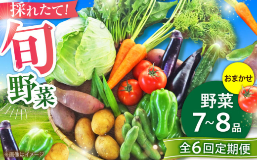 【全6回定期便】【数量限定】旬の 野菜 セット (約3kg/野菜7-8品程度) / 野菜 新鮮 旬 詰合せ セット 熊本県 菊陽町 特産品 【有限会社さんふれあ】 [BHAK025]