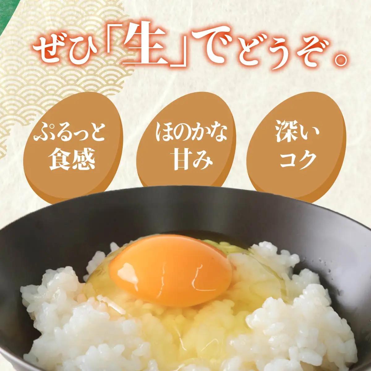 卵 朝取り 厳選こだわり卵 30個 割れ保証付き