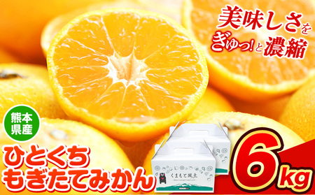 訳あり みかん ひとくちもぎたてみかん 約 6kg (3kg×2箱) S-3Sサイズ 訳あり ご家庭用 熊本県産 （荒尾市産含む） 期間限定 フルーツ 果物 旬 冬 柑橘 小玉 みかん《11月中旬-12月上旬頃出荷》｜ 甘いみかん ジューシーみかん さっぱりみかん 小粒みかん 大玉みかん 完熟みかん 冷凍みかん 皮ごとみかん 旬のみかん 太陽のみかん 香り豊かなみかん 水分たっぷりみかん 色鮮やかみかん 新鮮みかん ミニみかん 早生みかん 晩生みかん 蜜みかん 黄金色みかん 手軽なみかん 朝食みかん みかん