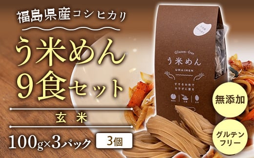 コシヒカリ玄米 う米めん 9食セット 無添加 グルテンフリー F7X-0212