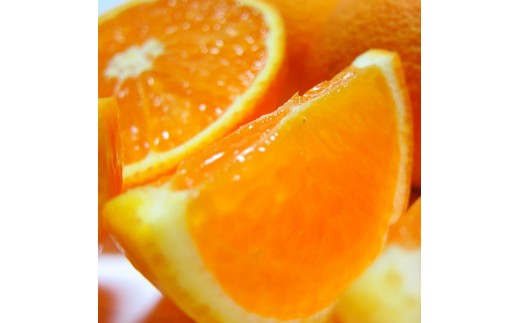 
                  有田育ちの完熟清見オレンジ(ご家庭用)　約1kg+200g(補償分)【2027年2月下旬～5月上旬頃に順次発送予定】【ard241】
                