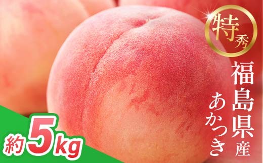 
                  2027年出荷分先行予約 糖度12度以上 特秀 福島県産 桃 あかつき 約5kg 透過式光センサー選別 数量限定 期間限定 白桃 もも モモ 果物 くだもの フルーツ F20C-125
                
