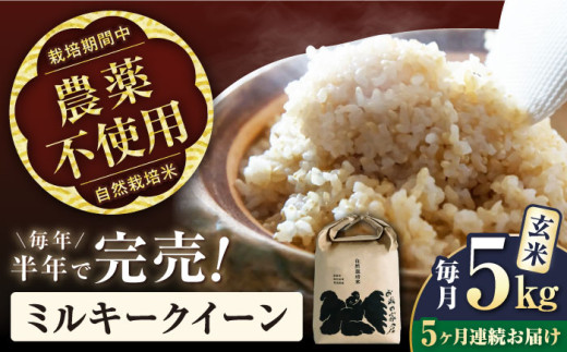 ＜先行予約＞【令和8年産 新米】【全5回定期便】ミルキークイーン 5kg 玄米 自然栽培米  滋賀県長浜市/株式会社お米の家倉 [AQCP011] 米 定期便 玄米  5kg ミルキークイーン 自然栽培米  滋賀県産 長浜市産 こめ お米  食品 国産 炊きたて 米ギフト もちもち ブランド米  食卓 美味しい 人気 ごはん ご飯 おにぎり 炊き込みご飯 おすすめ プレゼント 贈答