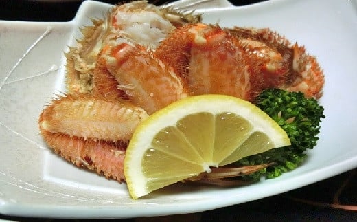 【令和7年発送】三陸産！活毛ガニ  500g相当×5杯【2025年2月~4月発送】【配送日指定不可】 