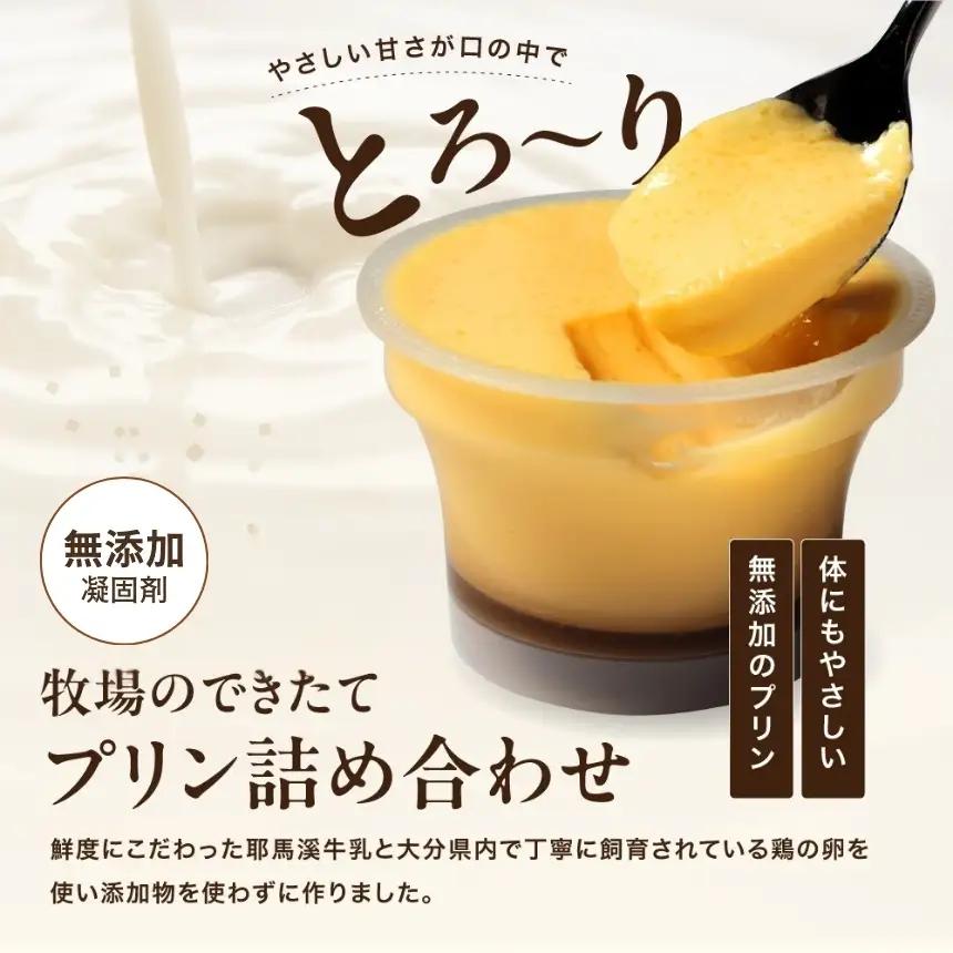 【定期便6回】 プリン詰合せ ( 90g × 12個 ) | お菓子 菓子 洋菓子 プリン ぷりん スイーツ デザート おやつ カスタードプディング 詰め合わせ セット 定期 定期便 大分県 中津市