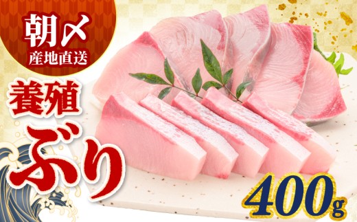 ぶり 400g 冷蔵 サンライズファーム