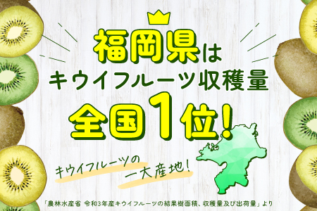 【予約受付】AB128.キウイフルーツ(グリーン)３ｋｇ程度／２０２５年１月～２月配送予定